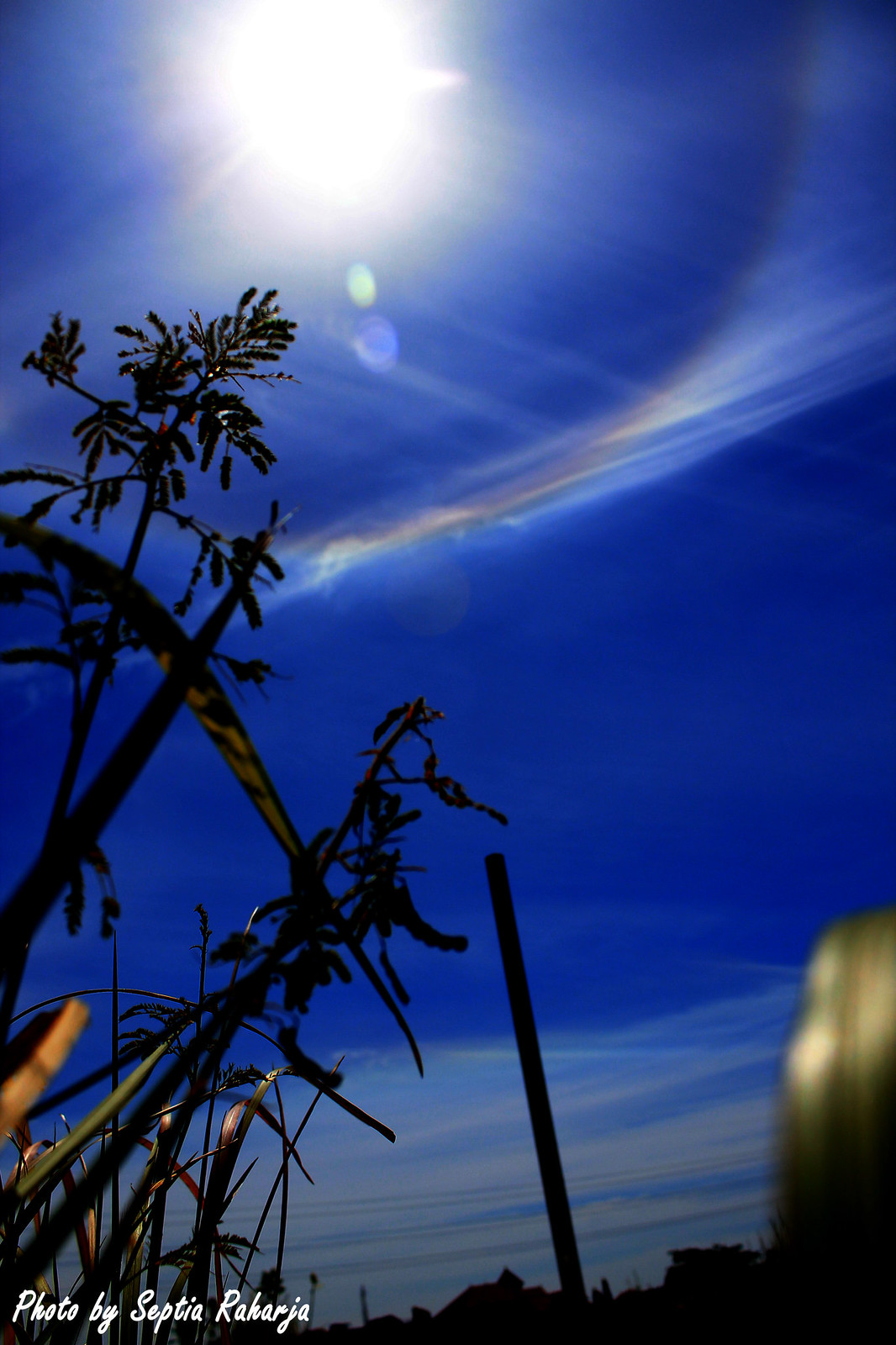 regional-surabaya-forest-v20--sekitarnya---part-6