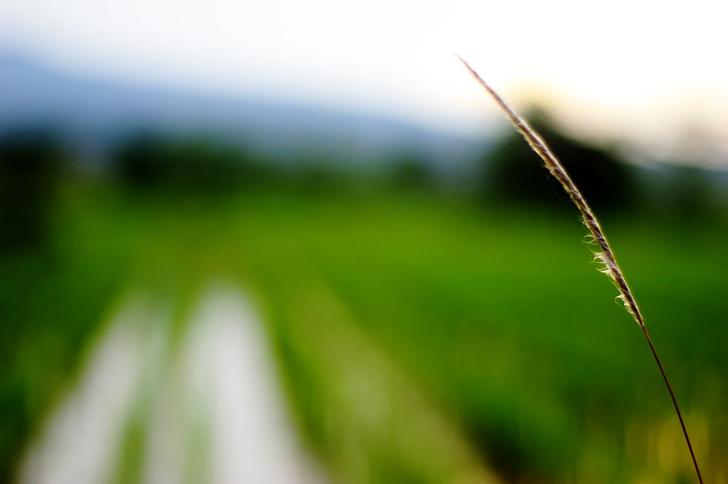 nongkrong-bareng-lensa-50mm-normal-lens