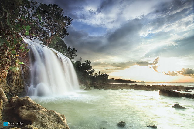 regional-surabaya-forest-v20--sekitarnya---part-5