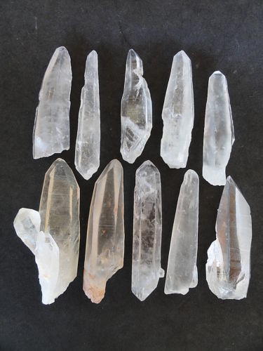 LEMURIAN ASLI BRAZIL