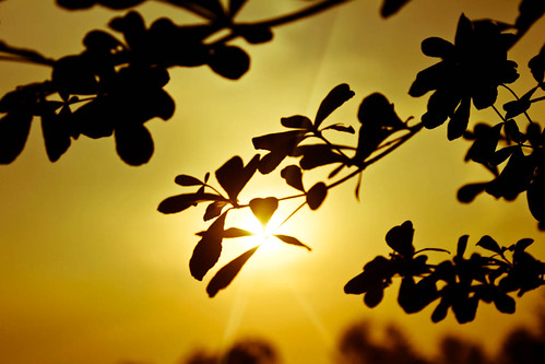 kampung-canoners---part-14