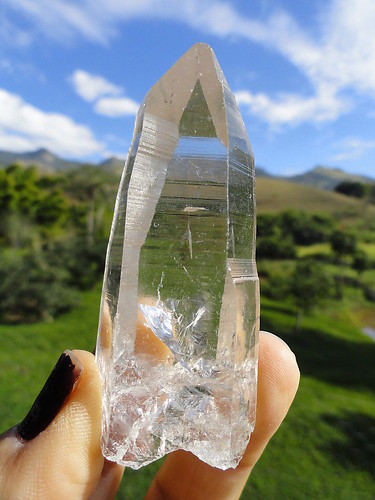 LEMURIAN ASLI BRAZIL