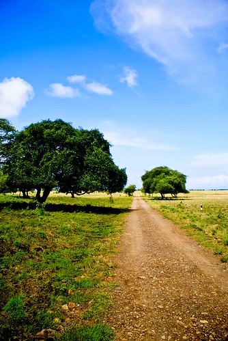 (FR) Amazing Long Trip Baluran-Menjangan-Lombok-Ijen-Dieng-Karimun Jawa