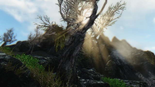 new-home-the-elder-scrolls-v--skyrim