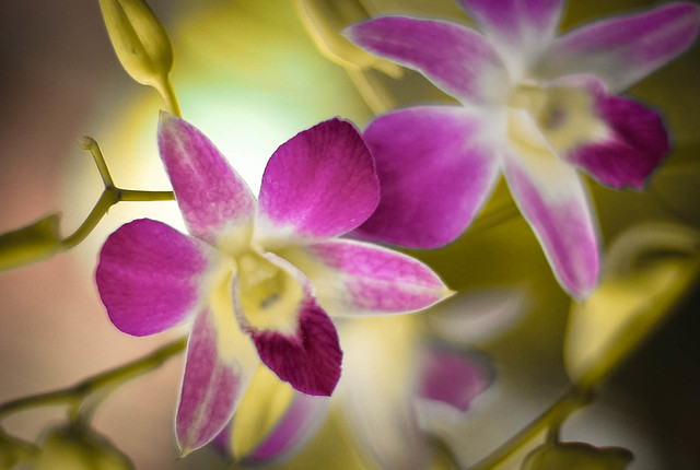 nongkrong-bareng-yang-masih-amatiran-dan-newbie---part-5