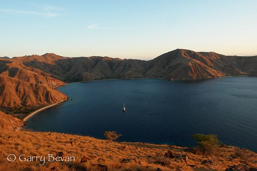 Sisi Lain Pulau Komodo