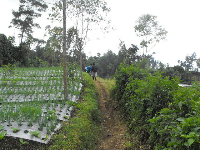&#91;catper&#93; Gunung Slamet - liburan selepas UN &gt;4-5 Mei 2013&lt;