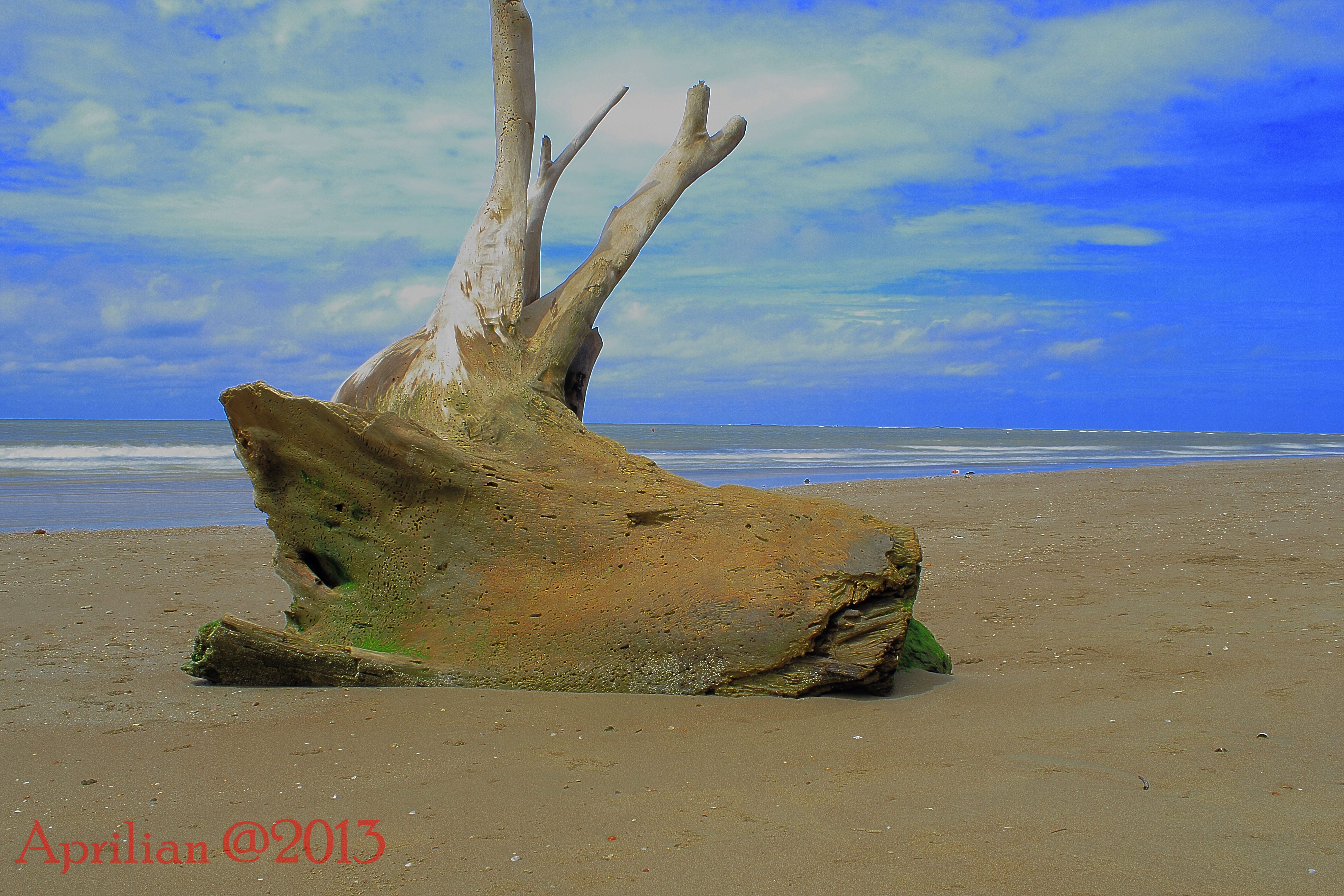 regional-balikpapan--sekitarnya