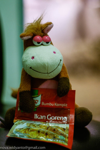 pentax-village---part-3--the-legend-still-continues