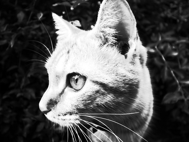 nongkrong-bareng-digital-pocket-dan-prosumer---part-3