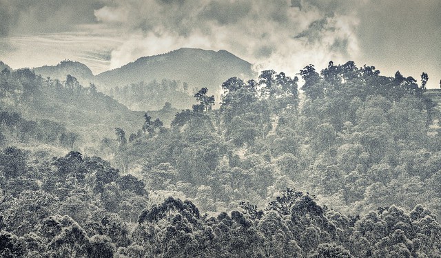 pentax-village---part-3--the-legend-still-continues