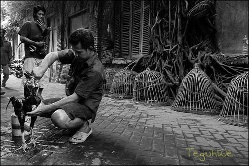 cafe-u--pengguna-panasonic---part-1