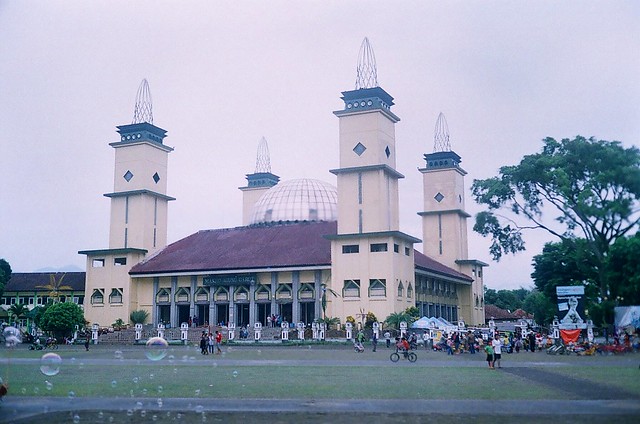 nongkrong-bareng-analog---film-camera---part-4