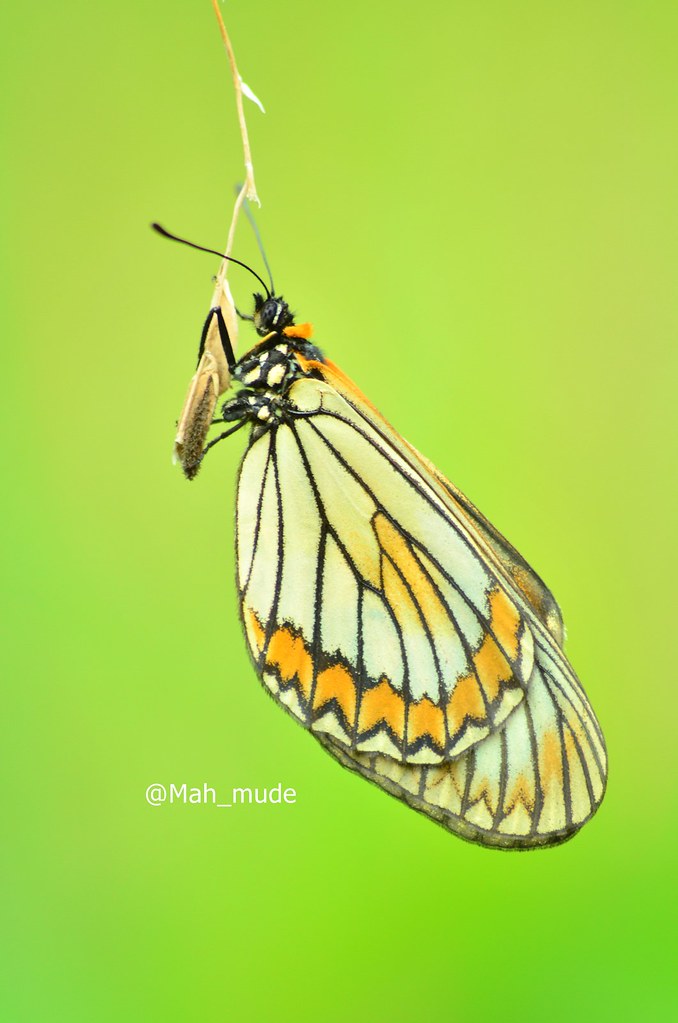 nongkrong-bareng-yang-masih-amatiran-dan-newbie---part-5