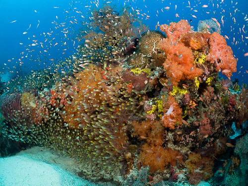 Sisi Lain Pulau Komodo