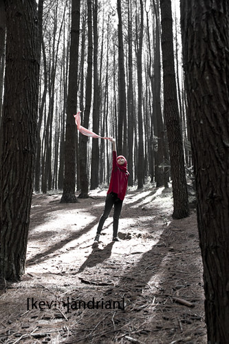 pendopo-sony-alpha---part-5