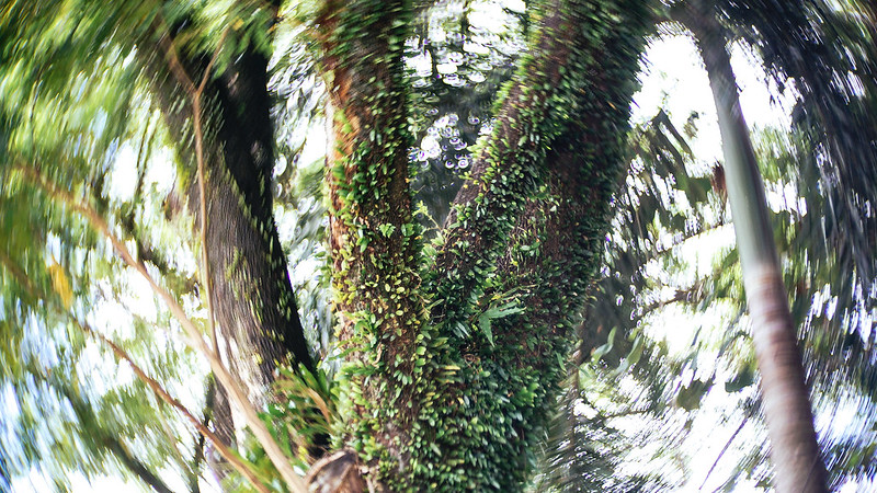 post-image