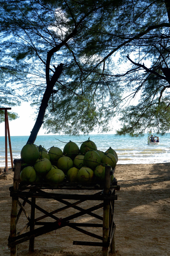 ~~~Pantai lombang sumenep, a hidden paradise in madura with, panta dengan cemara u~~~