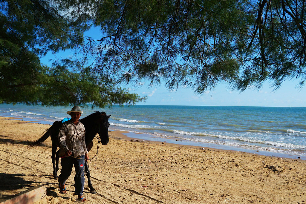 ~~~Pantai lombang sumenep, a hidden paradise in madura with, panta dengan cemara u~~~