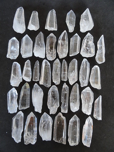 LEMURIAN ASLI BRAZIL