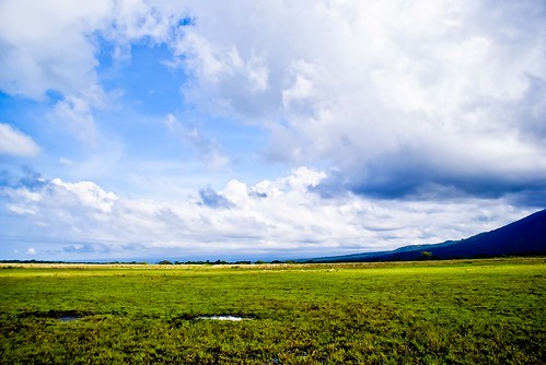 &#91;CATPER&#93; Amazing Long Trip Baluran-Menjangan-Lombok-Ijen-Dieng-Karimun Jawa