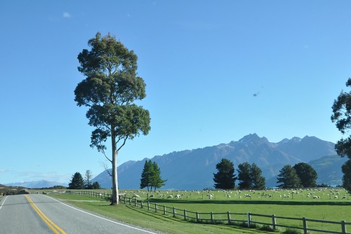 &#91;FR&#93; New Zealand In Campervan