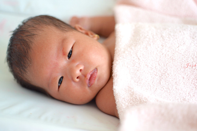 new-pendopo-sony-alpha