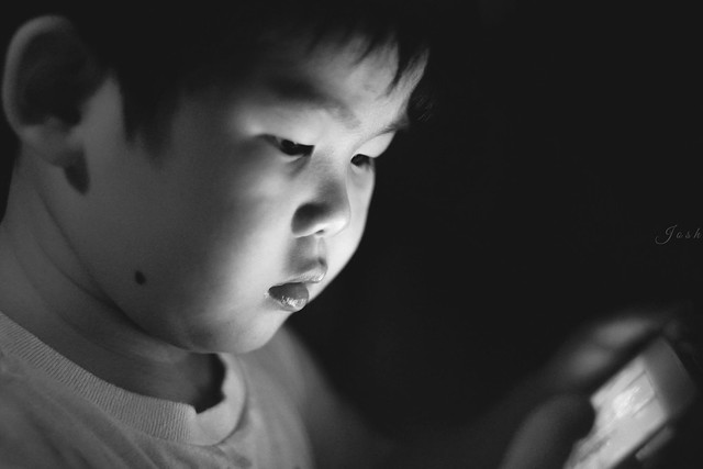 new-pendopo-sony-alpha