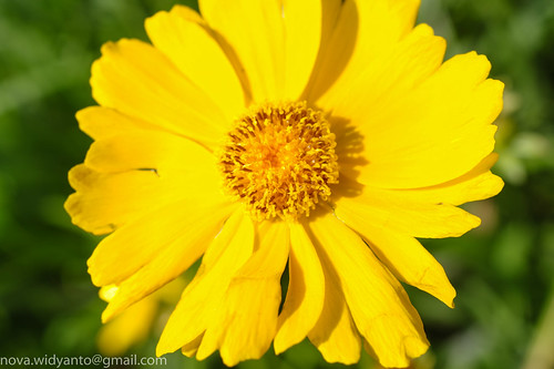 pentax-village---part-3--the-legend-still-continues