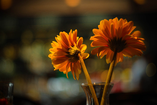 saung-lensa-manual---part-4