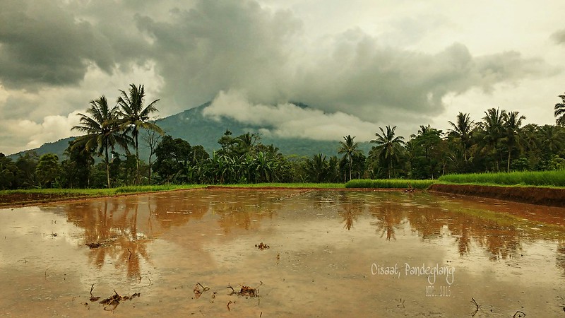 &#91;Galery&#93; Phone Photography by Mahdi Taufik. 