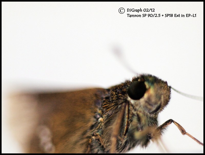 rumah-olympus---part-3