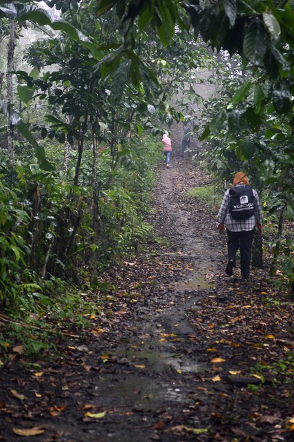 &#91;CATPER&#93; Treking Ringan ke Air Terjun SEKEPER Lombok Utara