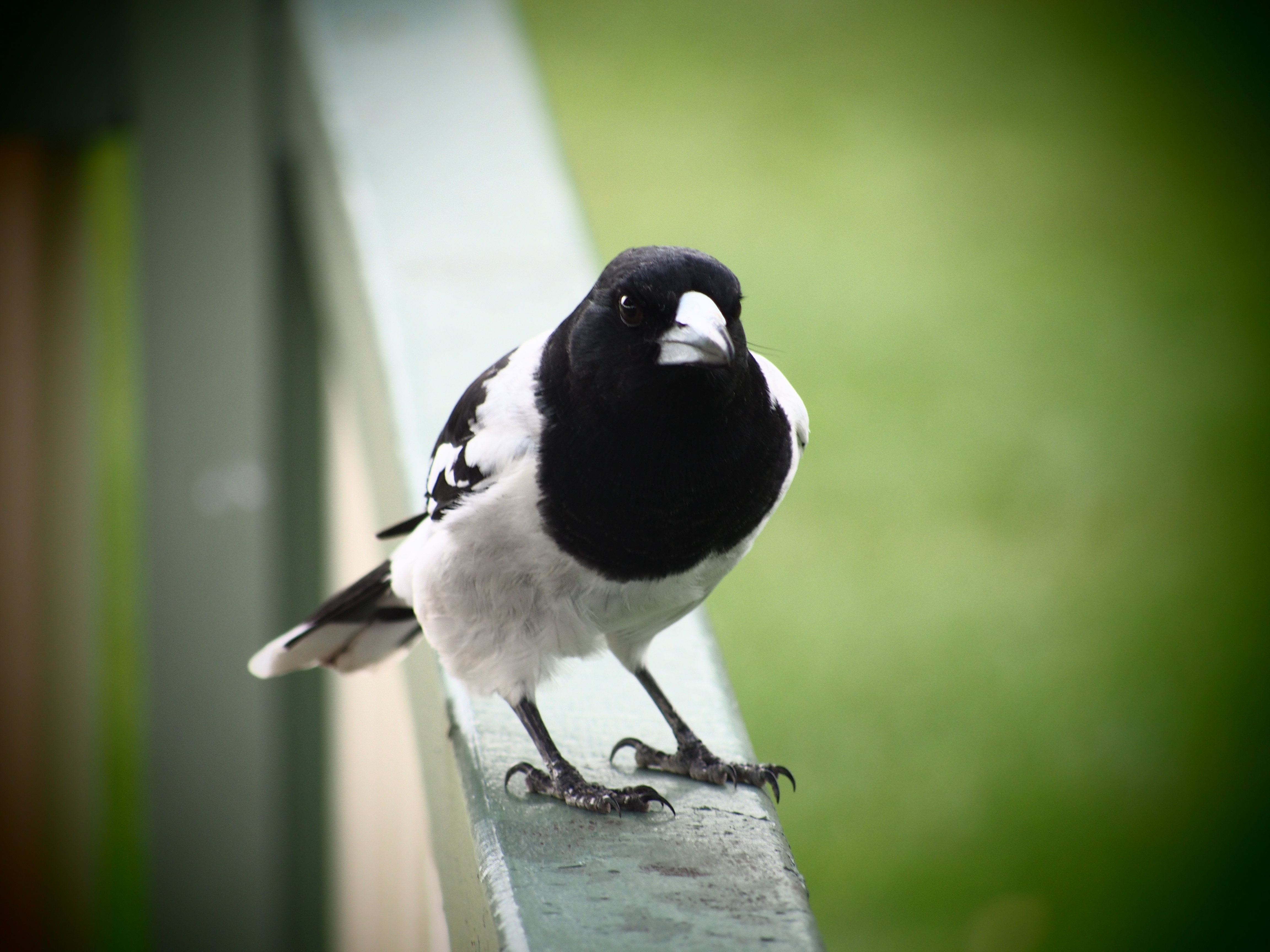 rumah-olympus---part-3