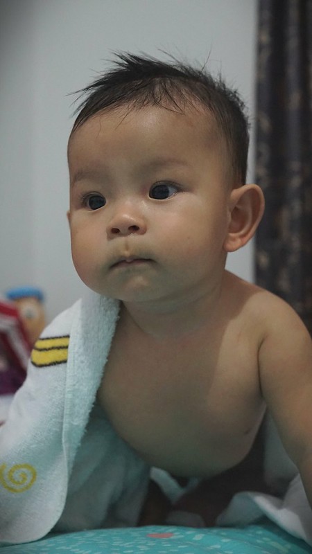 new-pendopo-sony-alpha