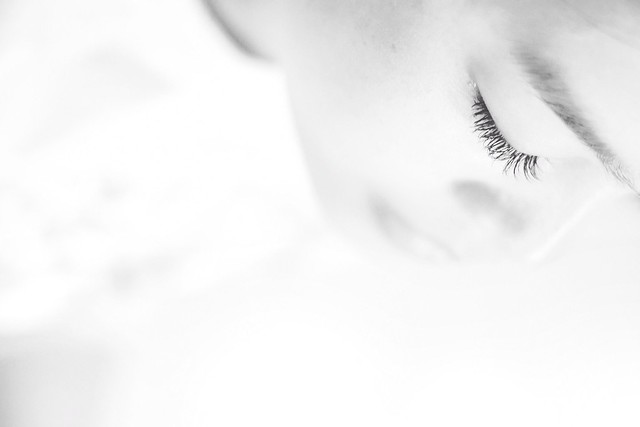 new-pendopo-sony-alpha