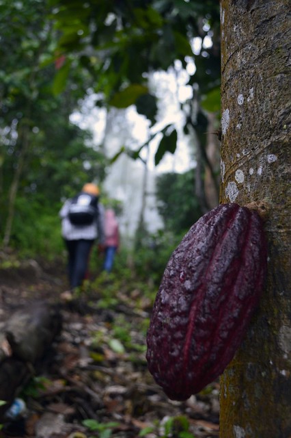 &#91;CATPER&#93; Treking Ringan ke Air Terjun SEKEPER Lombok Utara