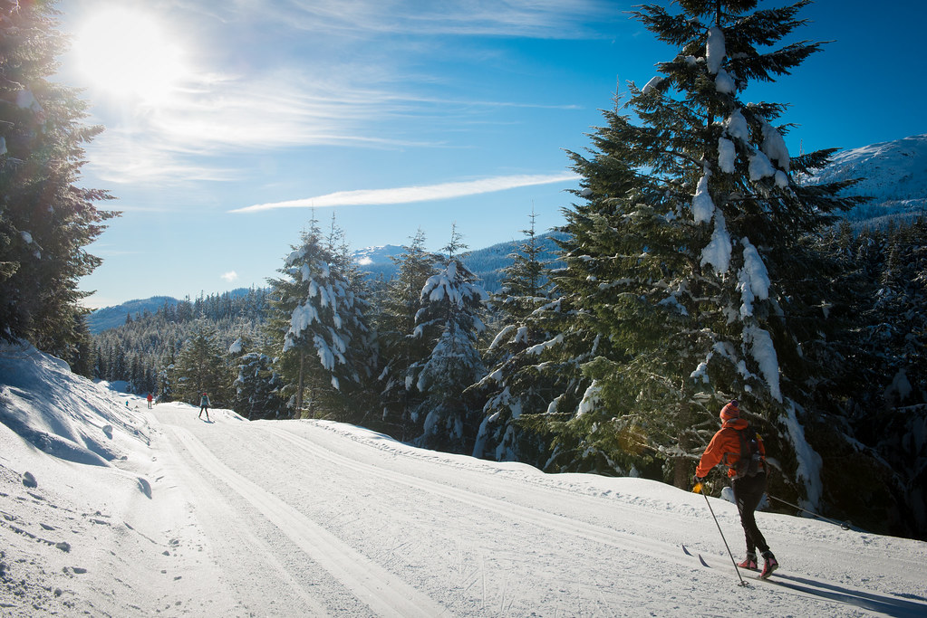 Whistler B.C &#91;Mecca of Freeride Mountainbiking&#93;