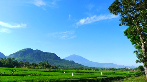 coba
