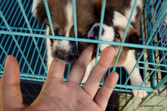 photo-games-foto-di-bawah-saya