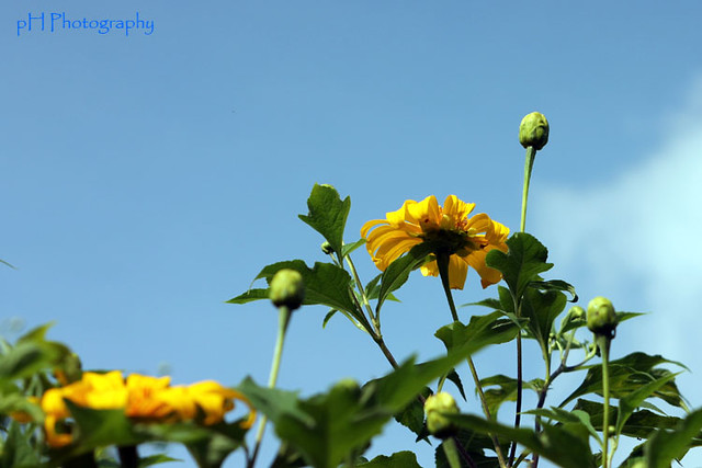 nongkrong-bareng-yang-masih-amatiran-dan-newbie---part-4