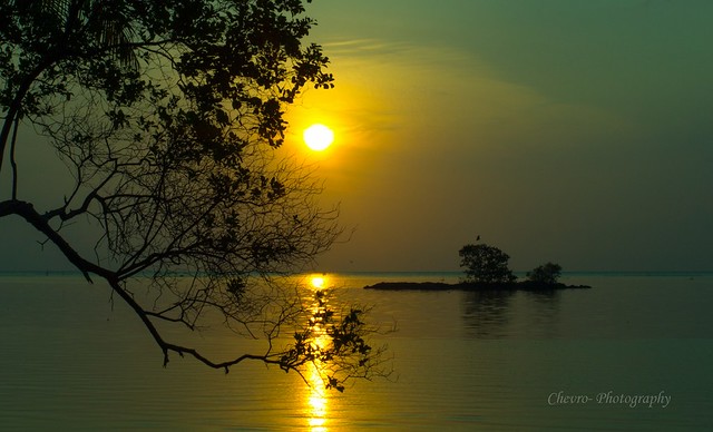 17691757photography17571769-galleries-tips-sharing--information