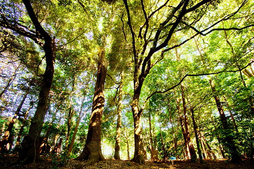 nongkrong-bareng-plants-photography-buat-yang-suka-foto-tetumbuhan
