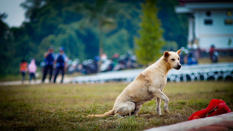 saung-lensa-manual---part-2