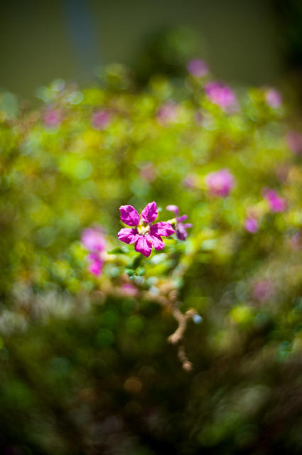 nongkrong-bareng-yang-masih-amatiran-dan-newbie---part-4