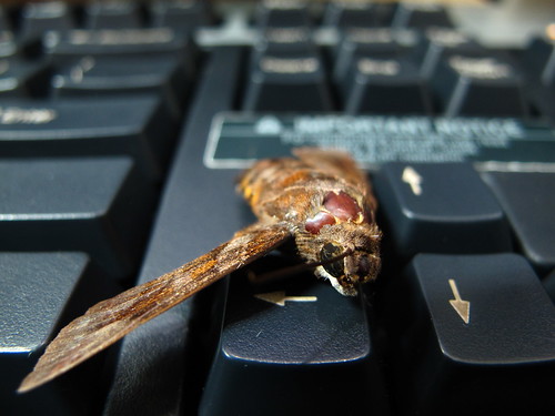 nongkrong-bareng-digital-pocket-dan-prosumer---part-2