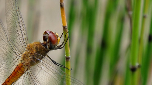 nongkrong-bareng-digital-pocket-dan-prosumer---part-2