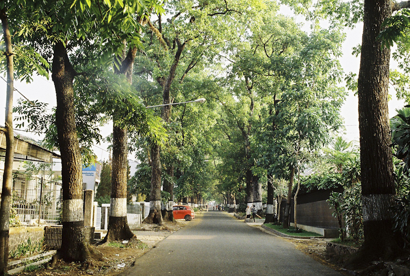 post-image