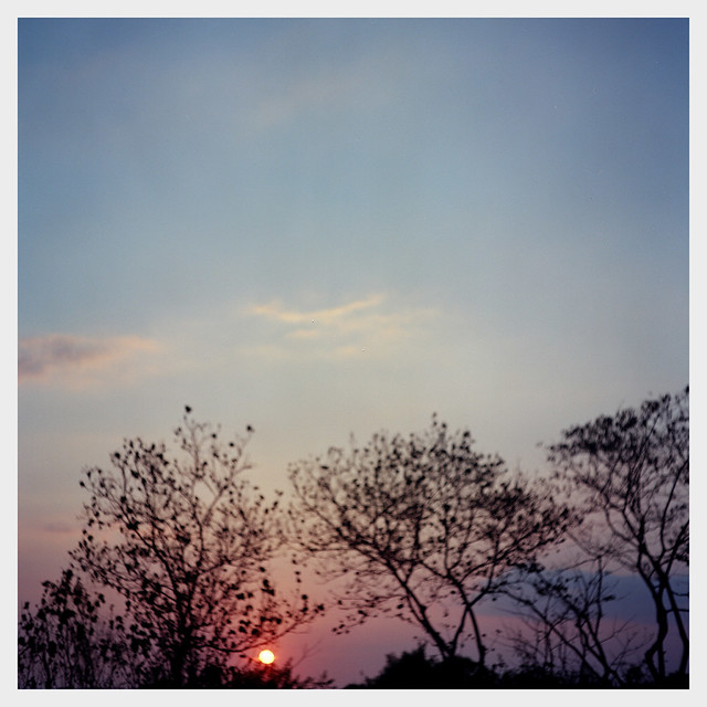 nongkrong-bareng-analog---film-camera---part-4