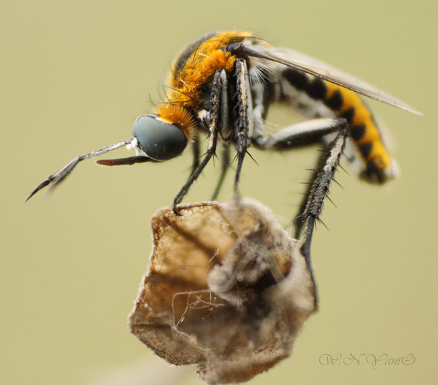 nongkrong-bareng-yang-masih-amatiran-dan-newbie---part-4